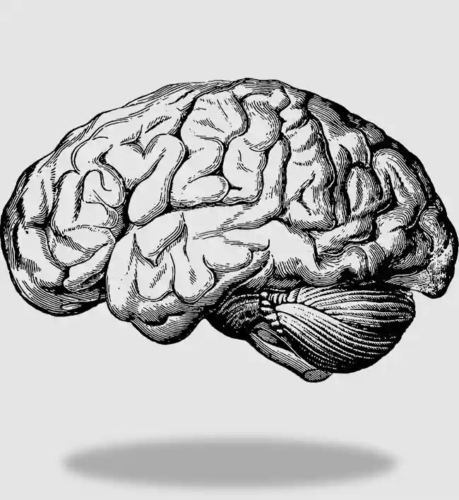 Eligenos Psicólogo en Mérida